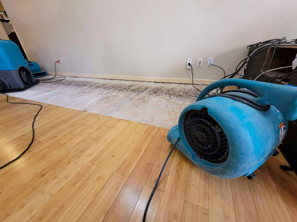 Professional Basement Flood Cleanup technician working in Campbelltown, PA